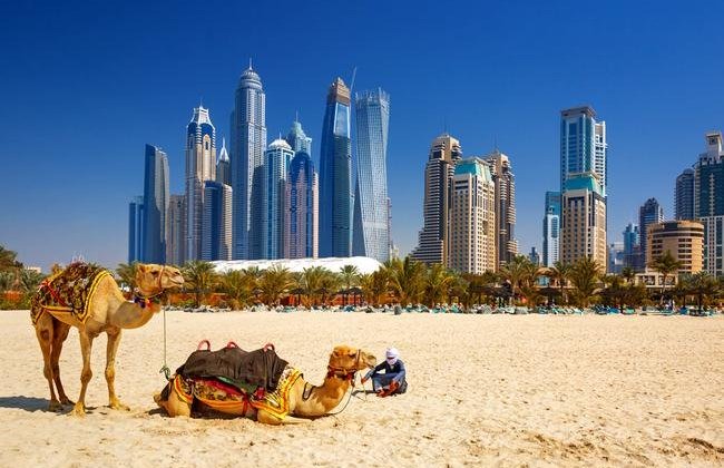 dubajvelbloudiK2WohNdjn4650x450.jpeg
